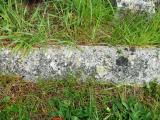 image of grave number 292616